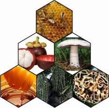 Cara Mengobati Benjolan Di Pangkal Paha